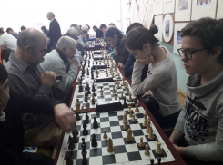 Новороссийцы попали в тройку призеров на  краевых соревнований по шахматам