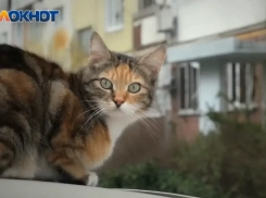 Гороскоп от Блокнота: Девам – не откладывать дела на потом, Скорпионам - не бояться нестандартных решений 