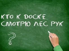 Некого учить: педагоги начальных классов в России могут остаться без работы