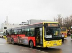 Общественный транспорт Новороссийска продолжит работать во время карантина
