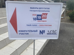 Выборы-2026 в Госдуму: как проголосовали новороссийцы