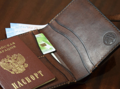 Внимание, Новороссийск-Раевская! Утеряно портмоне с документами 