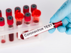 +35 зараженных за сутки: ковид бушует в Новороссийске 