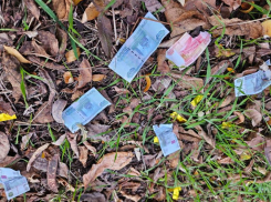 Подозрительные суммы и переводы: что настораживает банки и подталкивает к блокировке карт