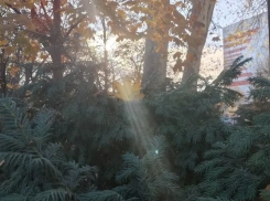 Январское тепло и облачность: погода в Новороссийске