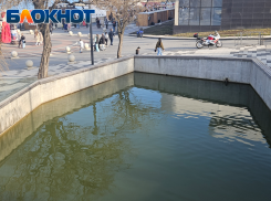 Новороссийцев призвали не волноваться за пруд в парке Фрунзе 