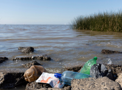 Туристы в Краснодарском крае массово болеют ротавирусом — когда новороссийцам купаться не стоит