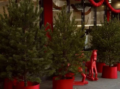 В Новороссийске производят ёлки для России и других стран 