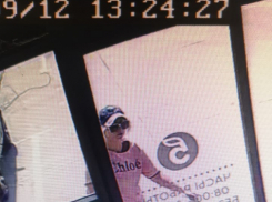 Внимание! Полицией Новороссийска разыскивается подозреваемая в краже