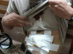 Штырь в животе: полиция Новороссийска разбирается с ЧП в парке живой природы