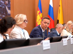 «Там и курам неудобно»: глава Новороссийска раскритиковал недобросовестных арендаторов земли