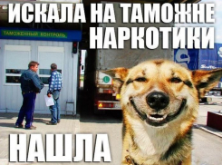 Как наркотики попадают в Новороссийск из Америки