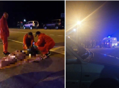 «Голова вся разбита»: видео с места смертельного ДТП с мотоциклистом в Новороссийске (18+) 