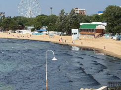 Это не мазут! Оперштаб Краснодарского края отрицает наличие нефтепродуктов в водорослях на пляжах Анапы