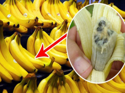 Коронавирус в бананах: стоит ли бояться новороссийцам