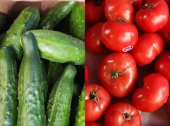 Кубанские деликатесы: во сколько обойдётся новороссийцам «весенний» салат с местными огурцами