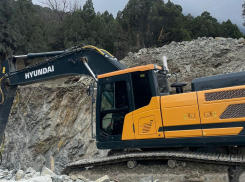 Стало известно, кто уничтожил можжевельники в Восточном районе Новороссийска