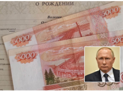 10 000 от Президента: ждать ли новороссийцам пособия в августе