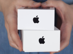Apple могут проверить в России из-за удаления приложений VK