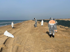 ⁠Мазут не отдыхает: после выходных на побережье Черного моря зафиксировали новые выбросы