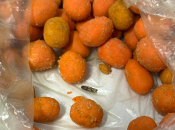 Черви и моль: новороссийцам продают орешки «с добавкой» 