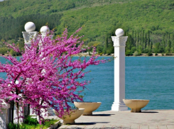 Сегодня в Новороссийске будет отличная погода 