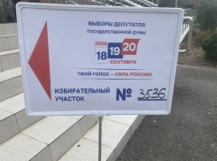 Явка на выборах в Новороссийске составила 70,03%
