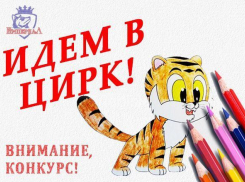 «Идем в цирк!» - пришли рисунок и выиграй фотосессию с тигром!