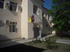 Год назад в новороссийской инфекционке тараканов не было