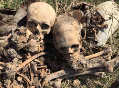 Останки героя ВОВ Захара Окружко из Ростовской области найдены в Новороссийске