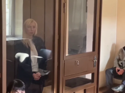 Экс-замглавы края Анну Минькову отправили под домашний арест