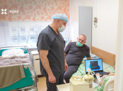 Мальчик из Сочи, искусанный хаски, возвращается к учёбе: что известно на данный момент