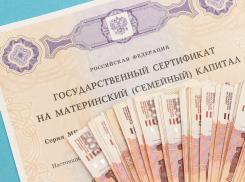 Материнский капитал новороссийцам  предлагают  тратить на газ, свет и воду 