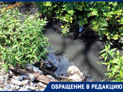 «Не наша компетенция»: отдел экологической безопасности о сливе канализации в Южной Озереевке