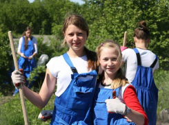 Новороссийским родителям на заметку — детский труд школьников узаконен