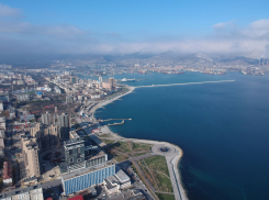 Холод решил остаться в Новороссийске