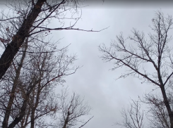 «Не перестаю удивляться наглости чиновников!», - крик души жительницы Новороссийска 