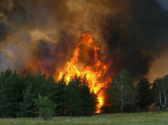 Новороссийцы, берегите леса от пожара, а себя – от штрафа