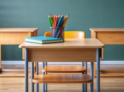 Пенал за 40 тысяч? - как и за сколько новороссийцы смогут собрать детей в школу