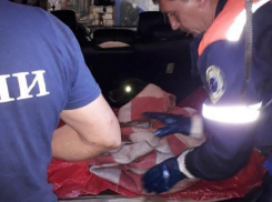 Собачью жизнь спас отряд МЧС Новороссийска