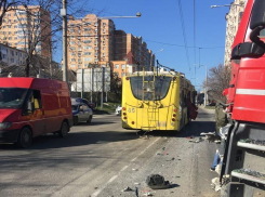 Рогатые стали причиной двух ДТП в Новороссийске