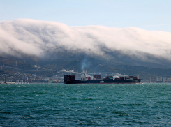 С холода и ветра начнётся новая неделя в Новороссийске
