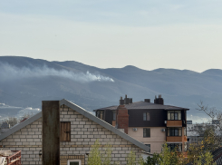 В Новороссийске горит лесной массив 