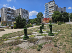 «А точно задумка была такой?» - житель Новороссийска «удивлён» красотой шахматного цветника 