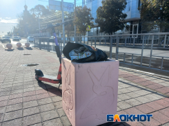 Сомнительное украшение: в цветочных клумбах Новороссийска с лета растёт мусор