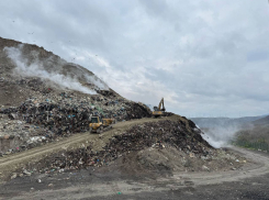 «Город по сей день дышит гарью»: новороссийцы усомнились в отчетах о тушении Щелбы 