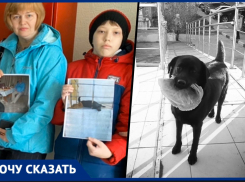 Заказное убийство любимцев детей: новороссийцы требуют наказать виновных