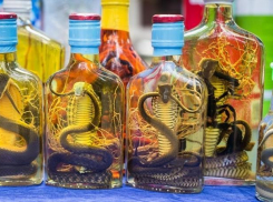 Жители Новороссийска могут проголосовать за или против увеличения времени продажи алкоголя