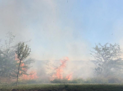 Все в дыму: пожар разбушевался в Суджукской лагуне Новороссийска 