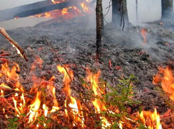 Накаких костров! В Новороссийске пожарная опасность 4 класса 